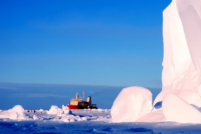 1280px-WhalesBayIceShelf-w