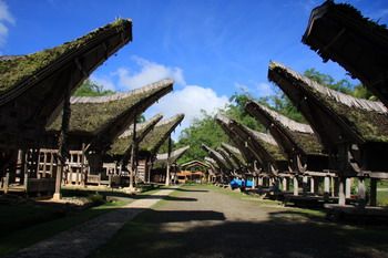 Ketu Kesu