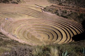 Moray