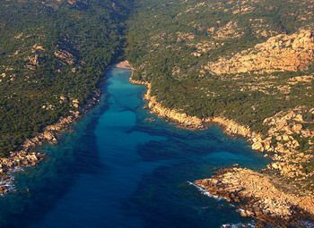 cala longua