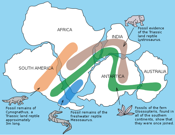580px-Snider-Pellegrini_Wegener_fossil_map_svg