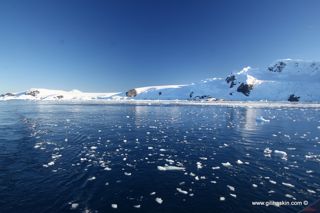 טיול לאנטארקטיקה
