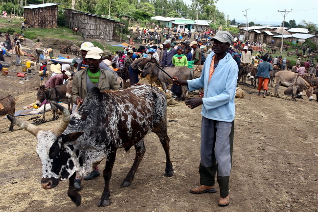 Bale-Etiopia_1