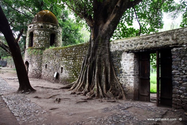 Gondar13-95 - Copy