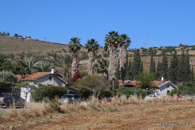 קבוצת כנרת
