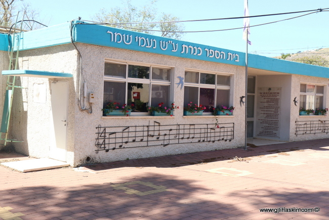 קבוצת כנרת