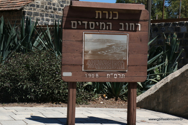 המושבה כנרת