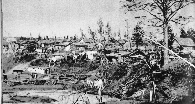 נובוסיבירסק בשנת 1895