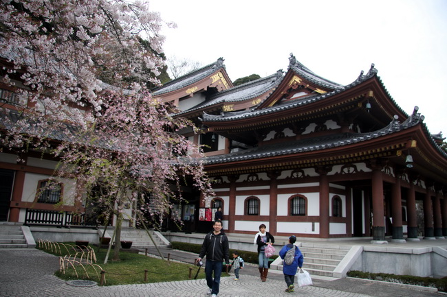 japan - shaw117_resize