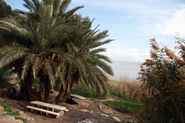 kineret1-p