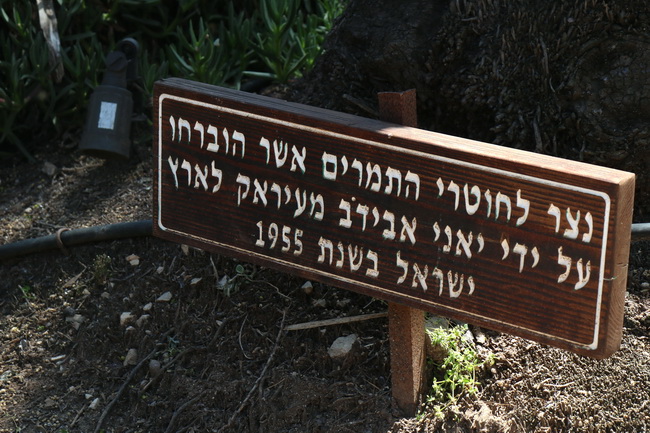 טיול לעמק יזרעאל