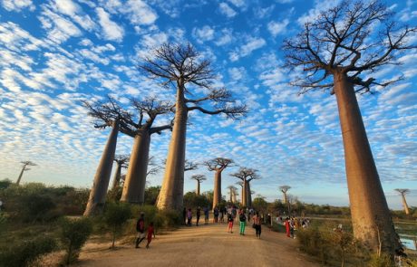 מבוא לטיול במדגסקר