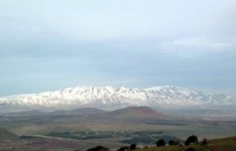 שלום זו רמה אחרת