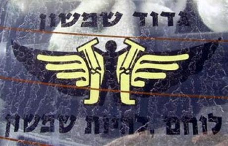 דמותו של שמשון הגיבור