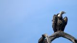 42-49-IMG_4372