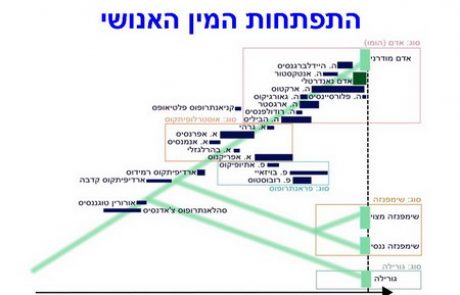 תולדות האדם בעמק אולדובאי