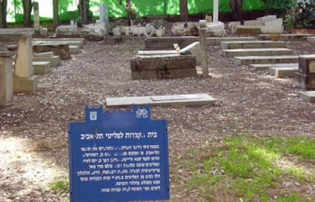צבי אריה סלור