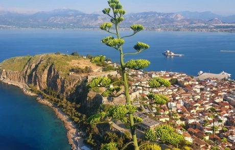 טיול לפלופונס במאי 2025