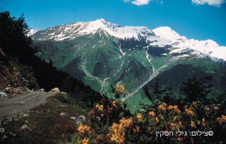 טיול רגלי (טרק ) בפירינאים