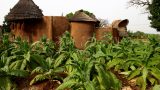 Benin-web_48