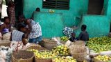 Benin-web_6