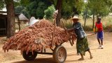Benin-web_68