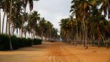 Benin-web_86
