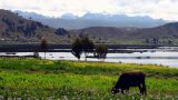 Bolivia_32_resize