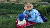 Bolivia_37_resize