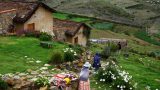 Bolivia_40_resize