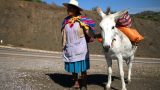 Bolivia_47_resize