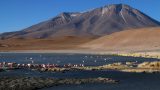Bolivia_61_resize