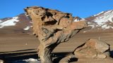 Bolivia_64_resize