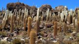 Bolivia_71_resize