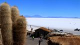 Bolivia_72_resize