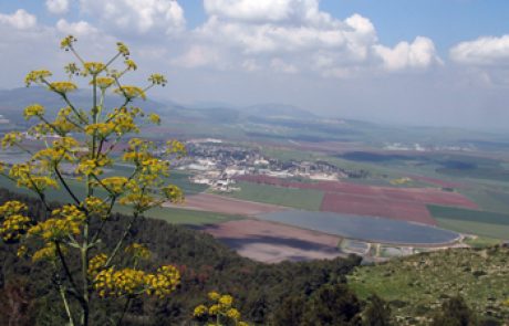 "בדרך לעין חרוד" סיור בעקבות פרשיות הגנה והתיישבות בעמק חרוד