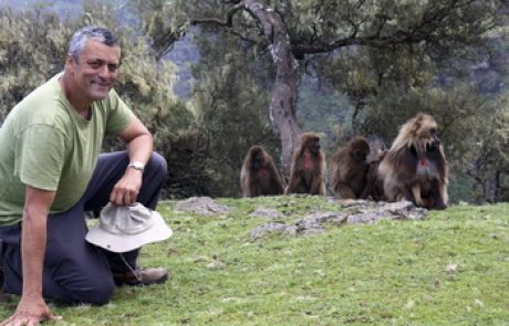 תיירות ותרמילאות – מגמות ומאפיינים