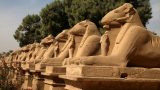 Egypt-p_95