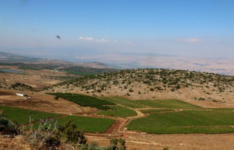 זעקת החקלאים