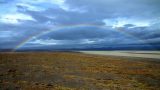 Iceland-w_104_resize