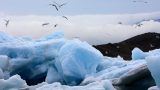 Iceland-w_17_resize