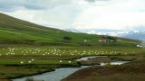 Iceland-w_32_resize