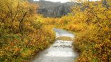 Iceland-w_92_resize