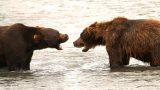 Kamchatka-w_128