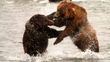Kamchatka-w_129