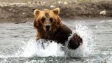 Kamchatka-w_133