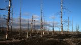 Kamchatka-w_158