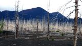 Kamchatka-w_282
