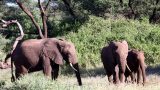 Maniara_42-min