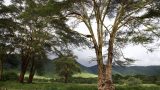 Ngorongoro-best_23-min
